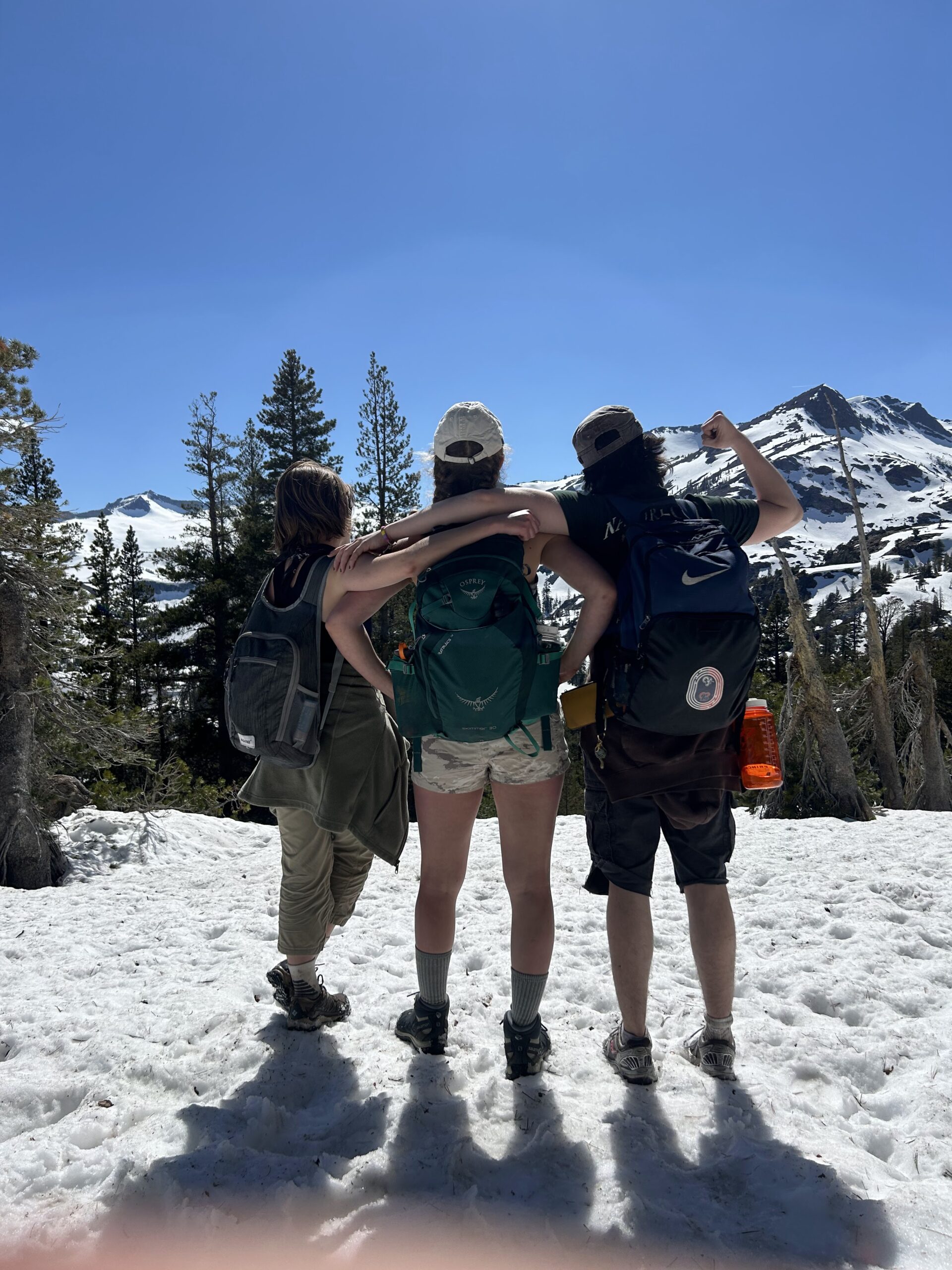 Jam Jar 7: Early March Playlist