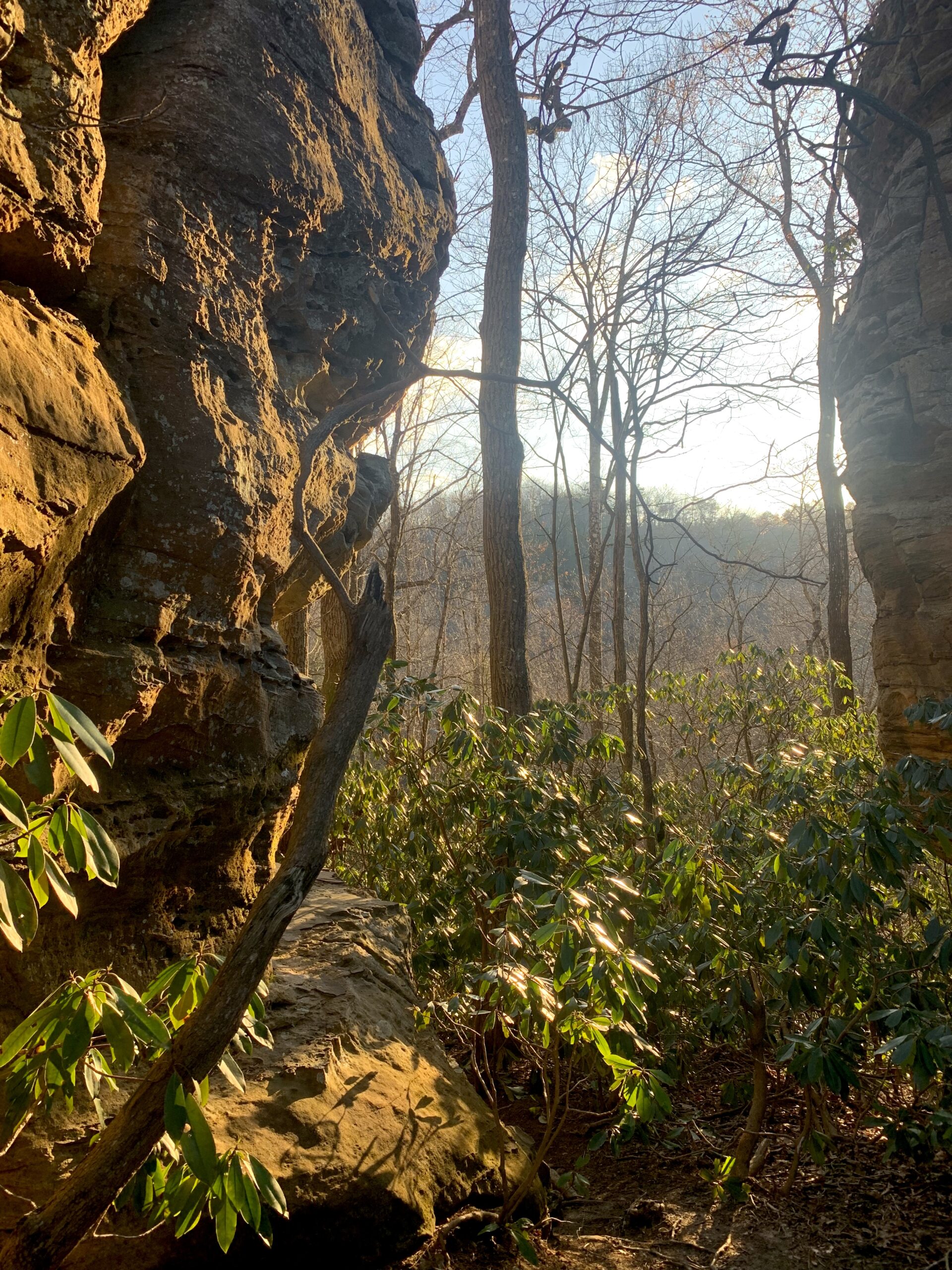 How to find the best food, drink, and friendship in the Red River Gorge